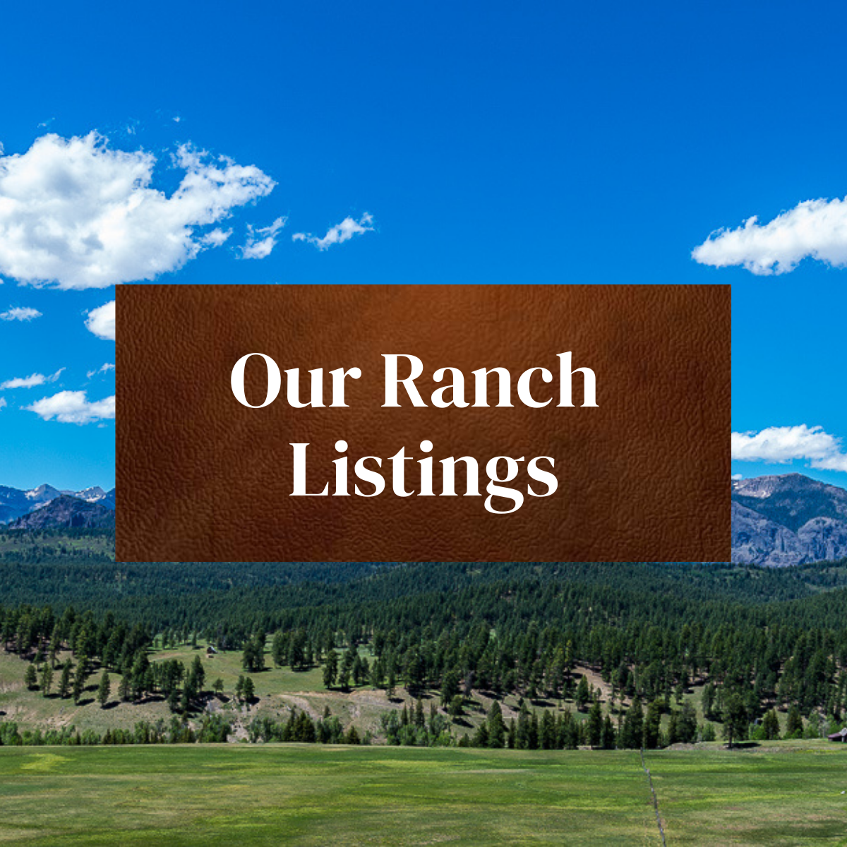 Galles Ranch Listings