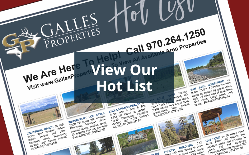 View Our Hot List